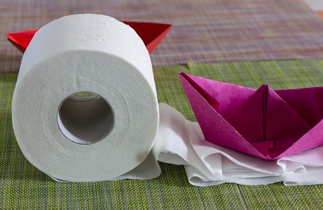 Cultures That Don’t Use Toilet Paper