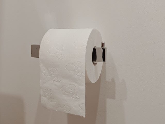 Bamboo Toilet Paper Versus Normal
