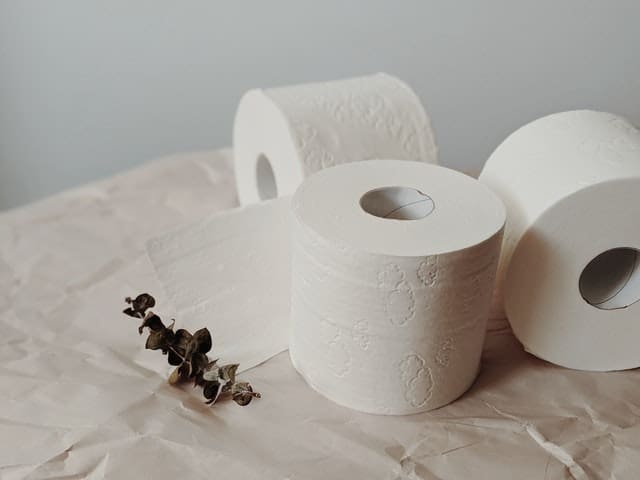 Benefits of Bamboo Toilet Paper