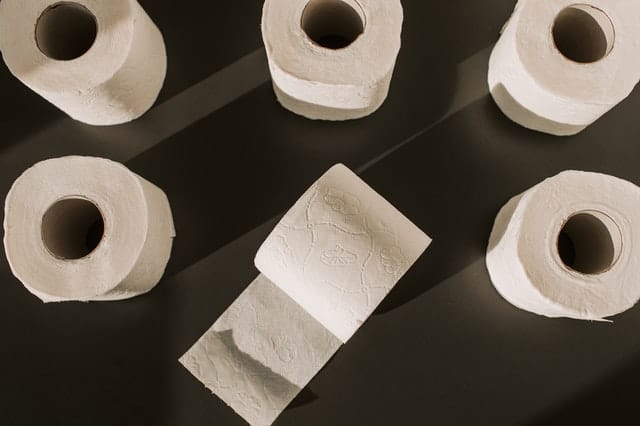Is Bamboo Toilet Paper Sustainable