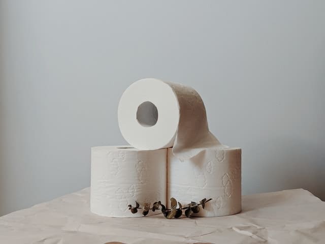 Is Recycled or Bamboo Toilet Paper Better For The Environment