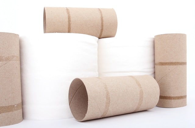 Is bamboo toilet paper Flushable