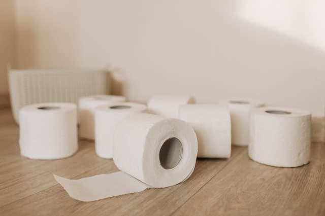 is bamboo toilet paper biodegradable