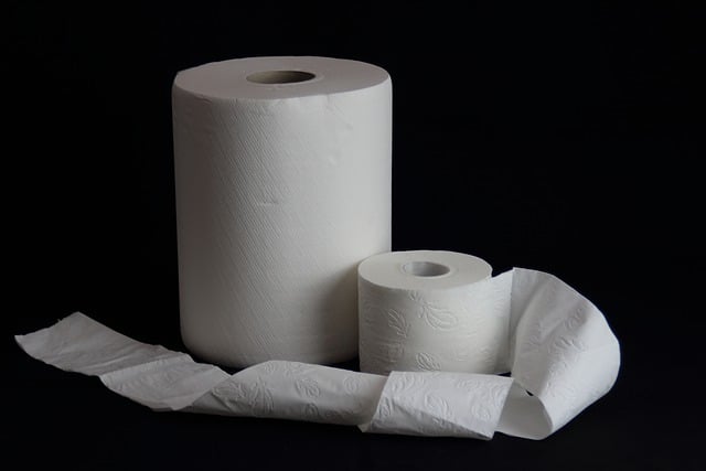 which is better hemp or bamboo toilet paper