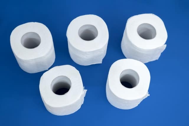 history of toilet paper
