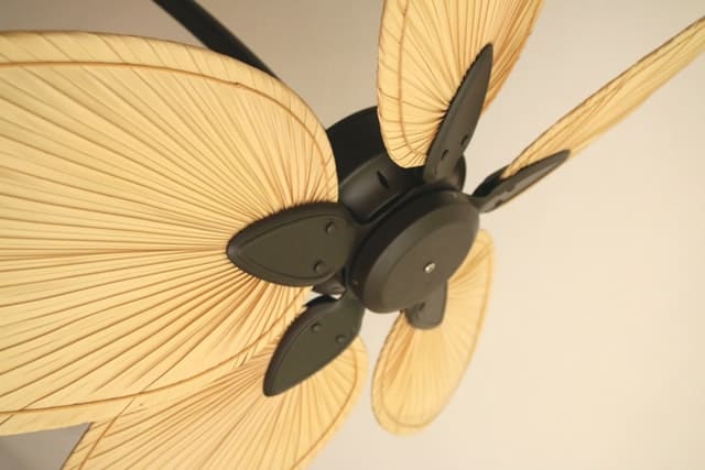 Should you put a ceiling fan in the kitchen