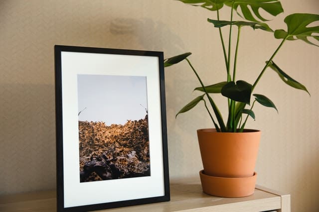 Are digital picture frames worth it