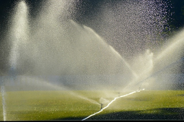 Is an irrigation system worth the cost