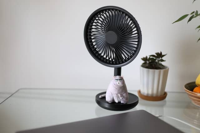 Why is it important to clean your fan